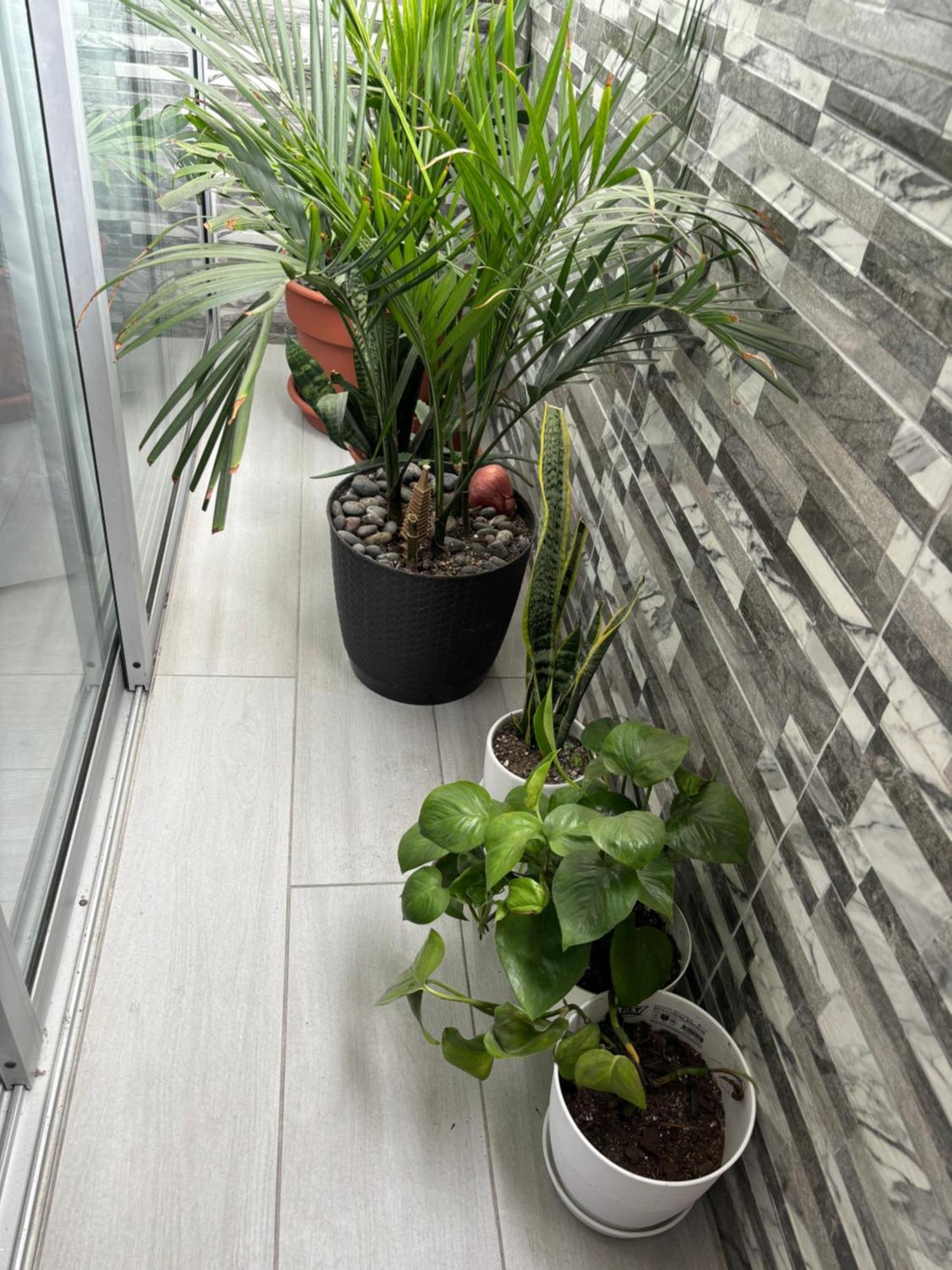 Departamento En Miraflores Con Surquillo Λίμα Εξωτερικό φωτογραφία